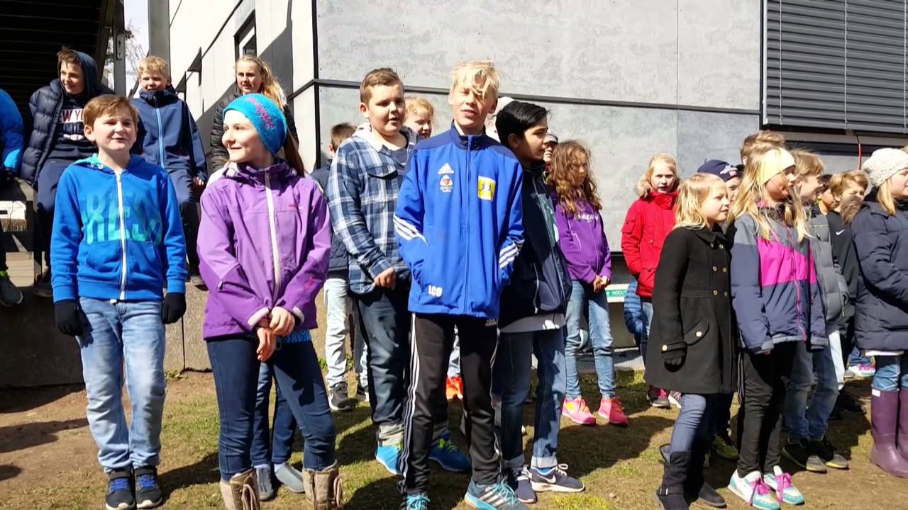 Ringshaug skole, T&oslash;nsberg kommune