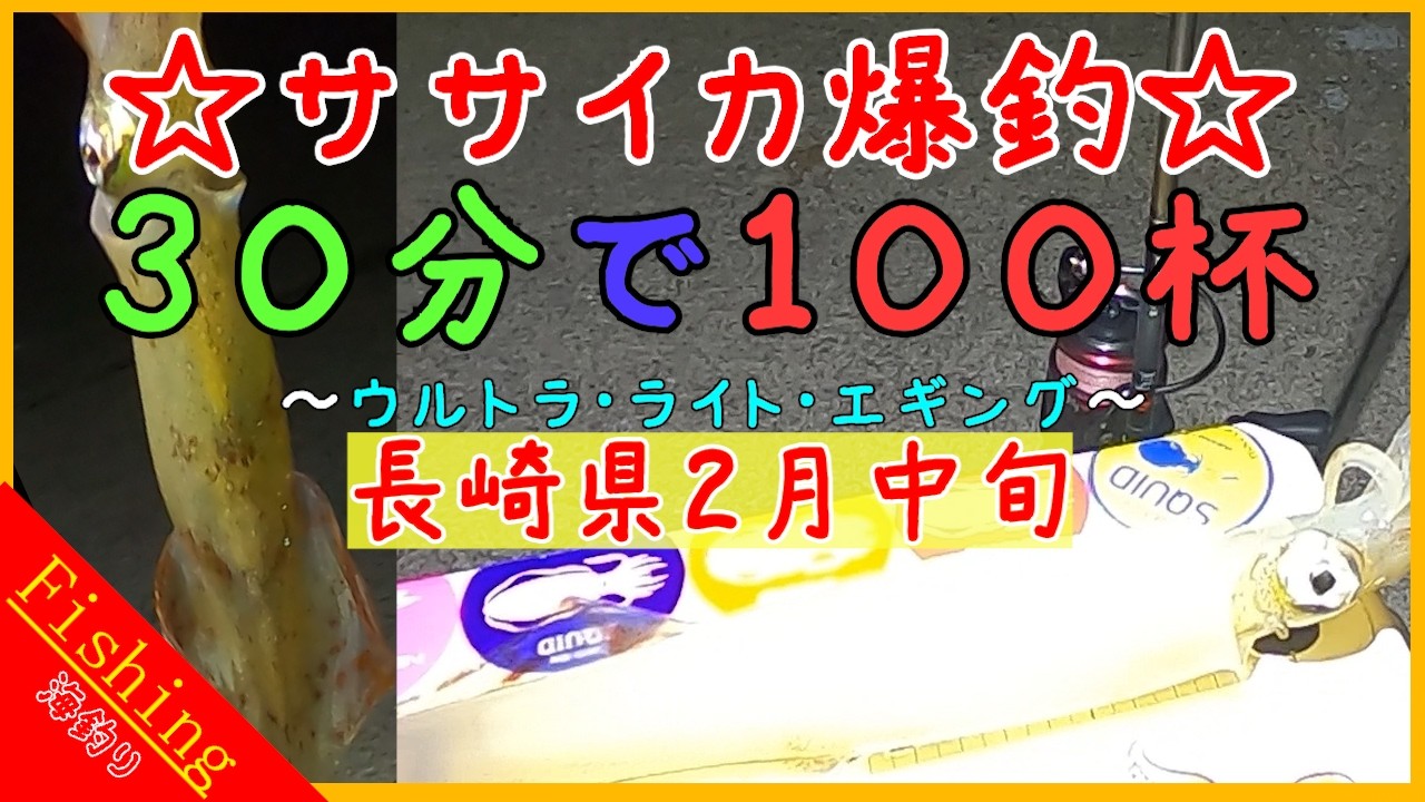 ササイカエギング！平戸をラン＆ガン！そして大爆釣！？
