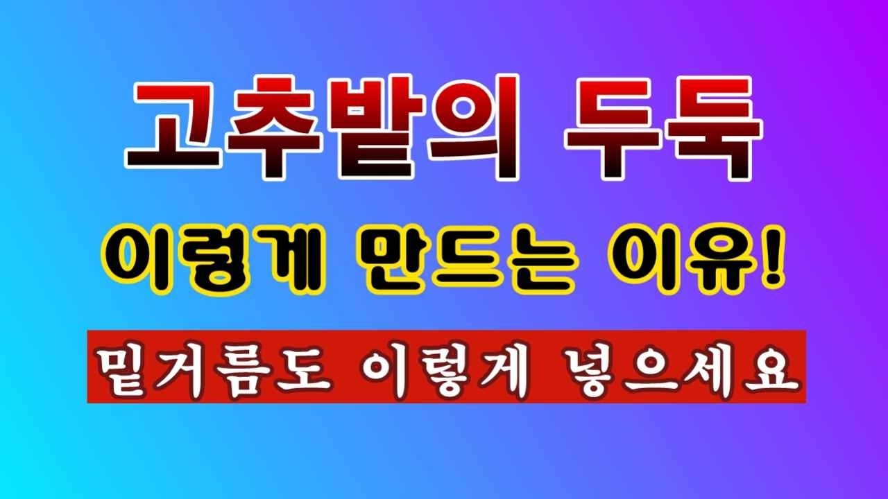 [텃밭농부 2,175]  고추밭 두둑을 이렇게 만드는 이유. 밑거름도 많이 넣으세요! #고추재배