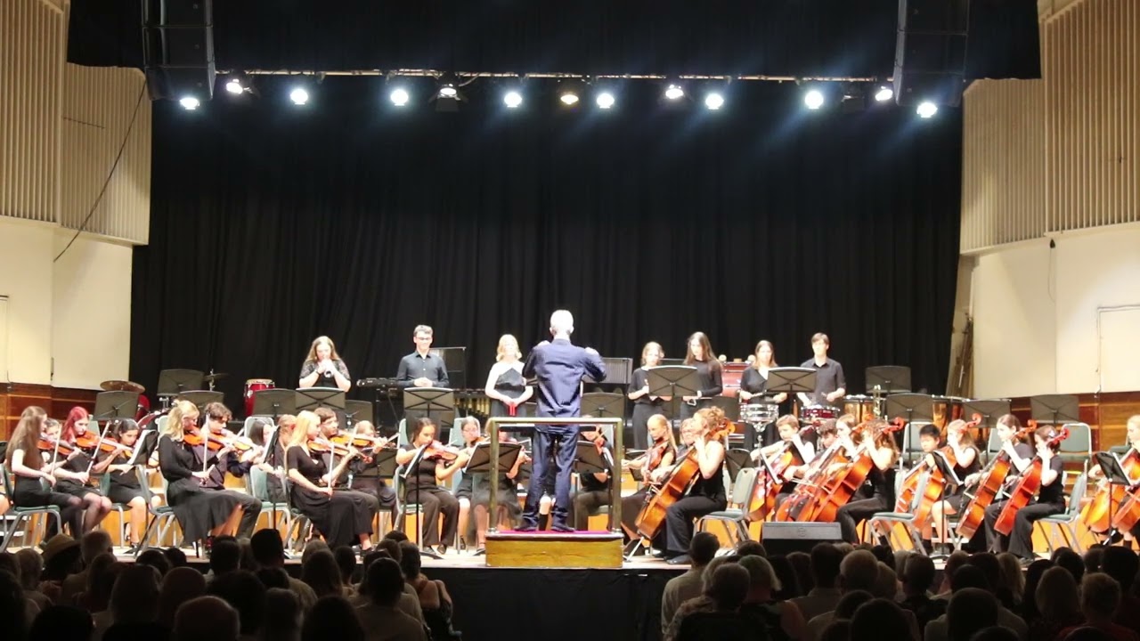 Toy Symphony - West Sussex Youth String Orchestra
