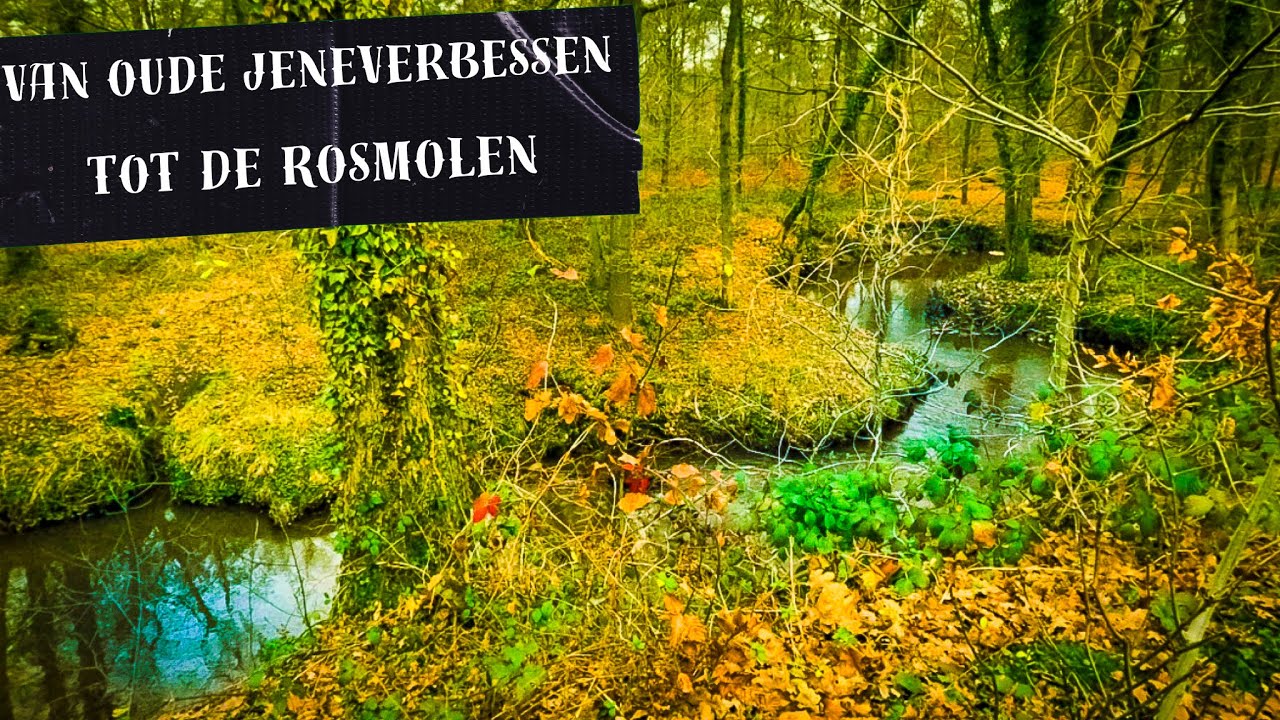 49 Het Landgoed van de Molenbeek | 11 min.