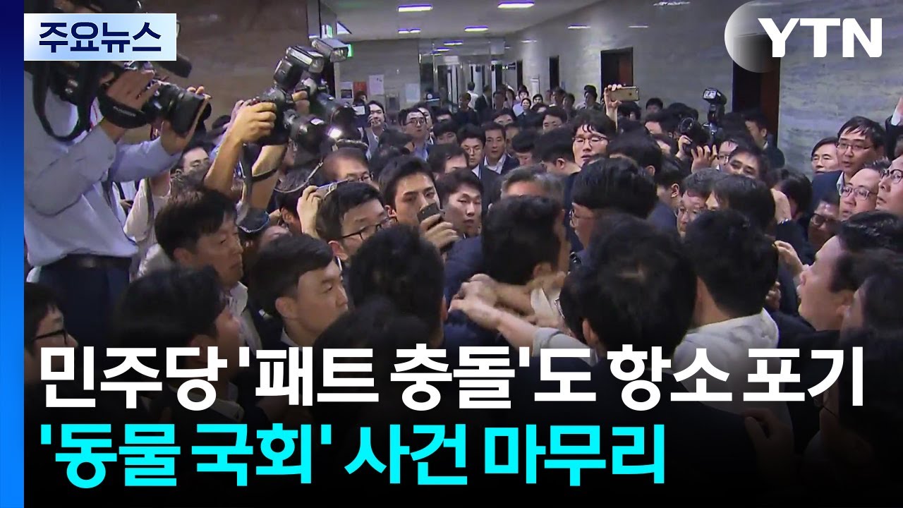 검찰, 민주당 '패트 충돌'도 항소 포기...'동물 국회' 사건 마무리 / YTN