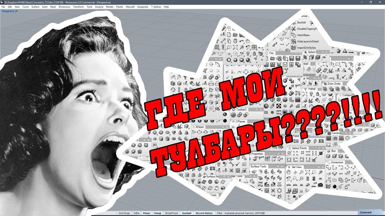 Пропали тулбары в Rhinoceros! Что делать?