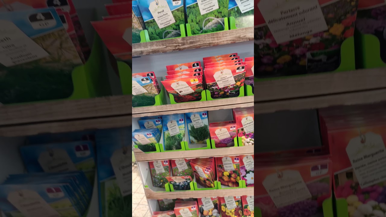 les graines de Lidl