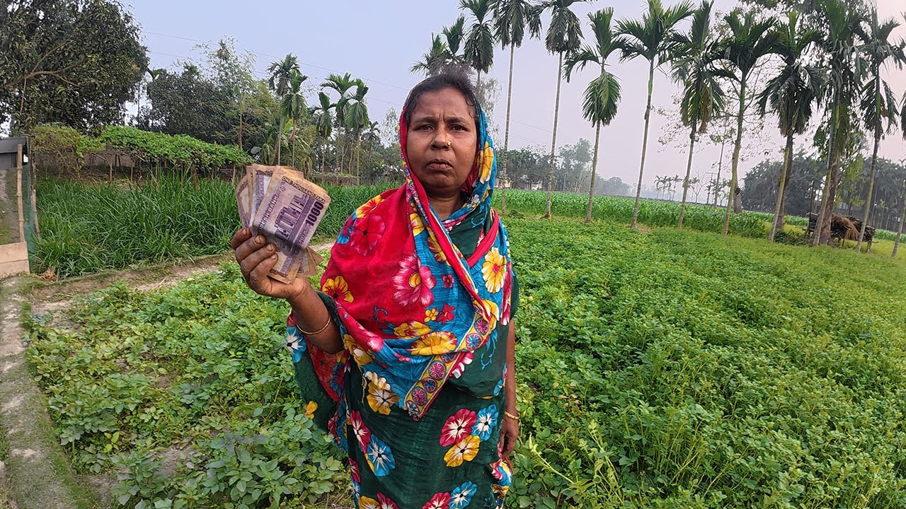 মায়ের হাতে অনেকগুলো টাকা দিলাম কেনো । Lr Agro