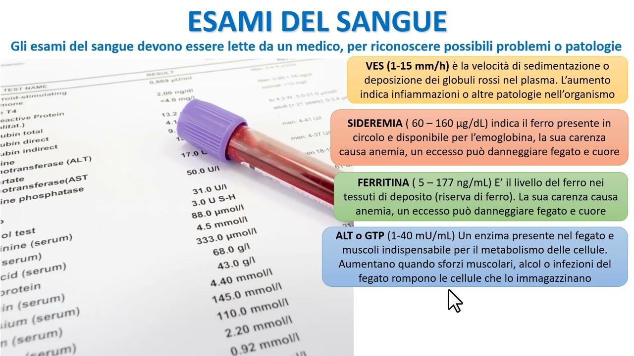 GLI ESAMI DEL SANGUE