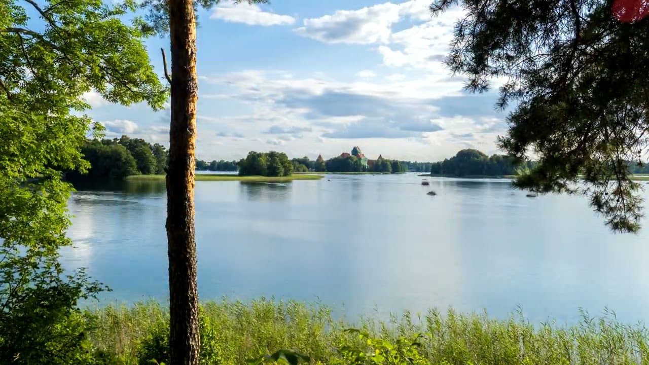Summer afternun @ Galvė lake