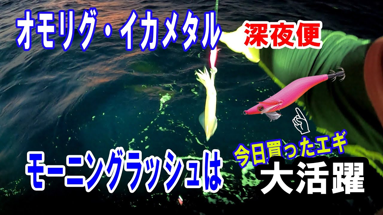 【オモリグ・イカメタル】深夜便ｰモーニングラッシュは買ったばかりのエギで爆釣