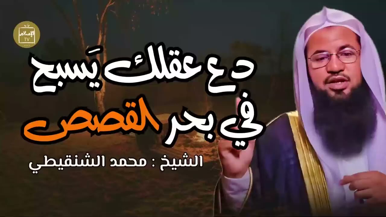 قصة رواها الشيخ محمد الشنقيطي جعلتني أُعيد التفكير في كل شيء! | دع عقلك يسبح في بحر #القصص