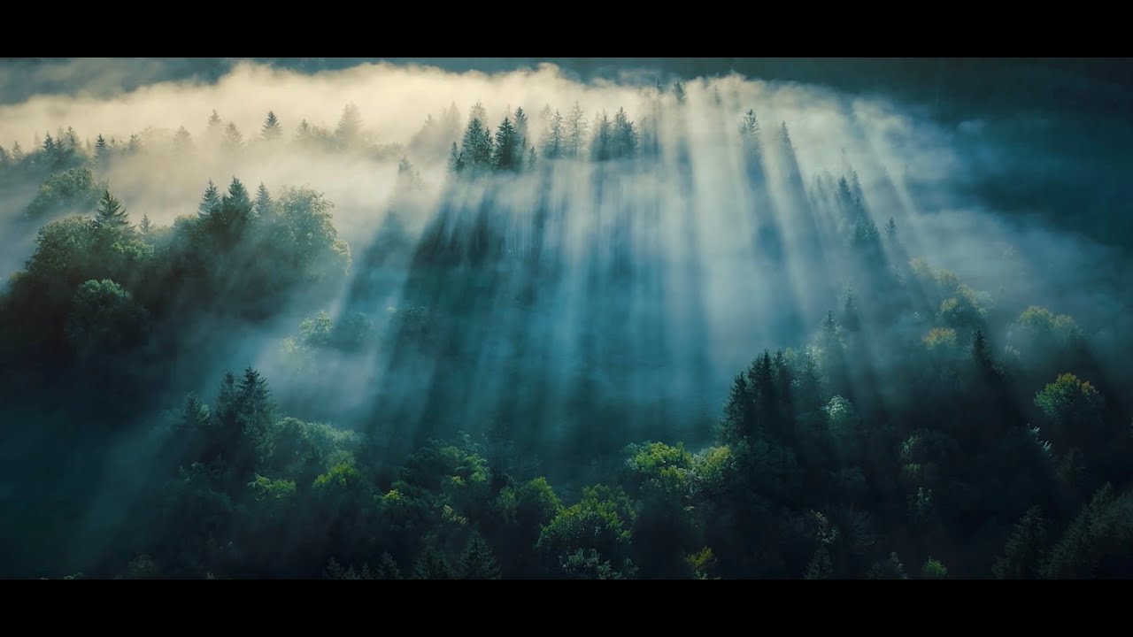 Eve Wilson narration w  graphics+video Final Edits as per Mr  Alfred