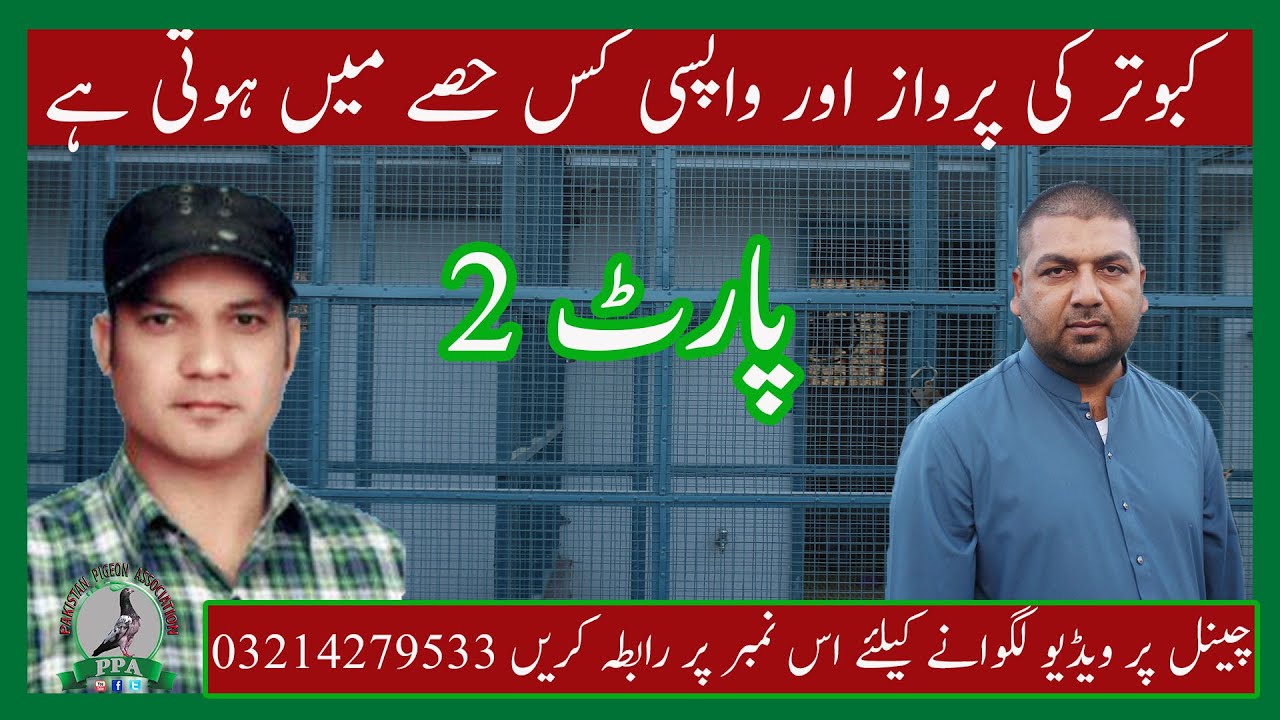 Pigeon Sports Knowledge By Ustad Baba Sikander Watch In HD Urdu/Hindi