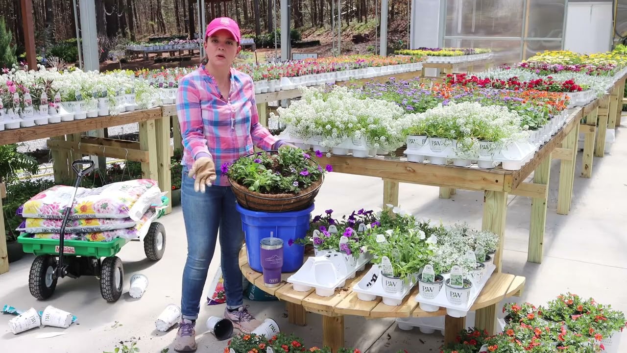 Creating Hanging Baskets | Gardening with Creekside