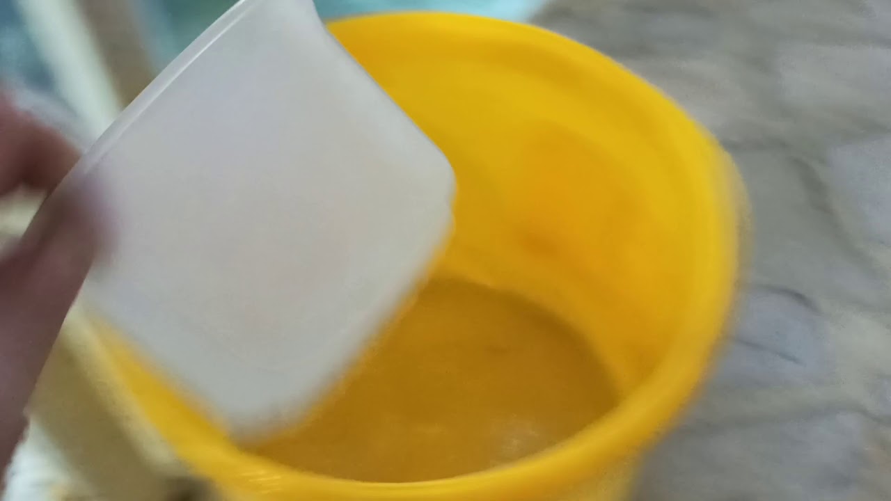 Melek balığı üretimin de püf noktalar