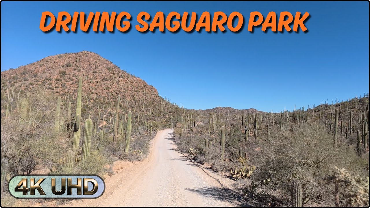 4K Scenic Drive Through Saguaro National Park West