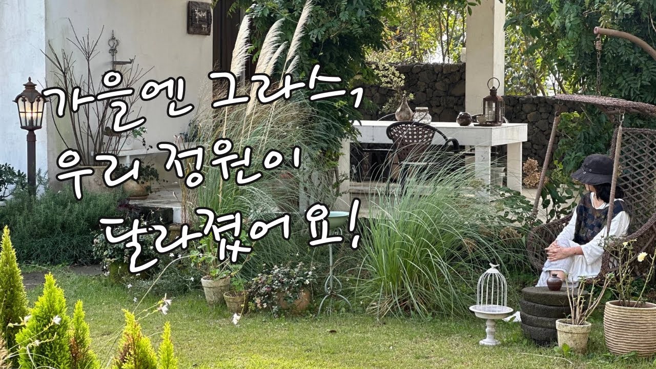 2년차 그라스정원 꾸미기