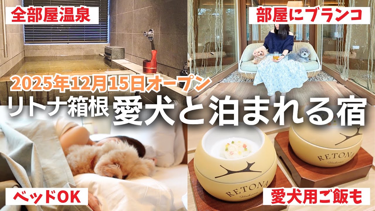 2025年12月15日オープン❗️大型犬もOK◎箱根に全部屋温泉付の高級宿が誕生❗️【RETONA箱根＠神奈川県箱根】