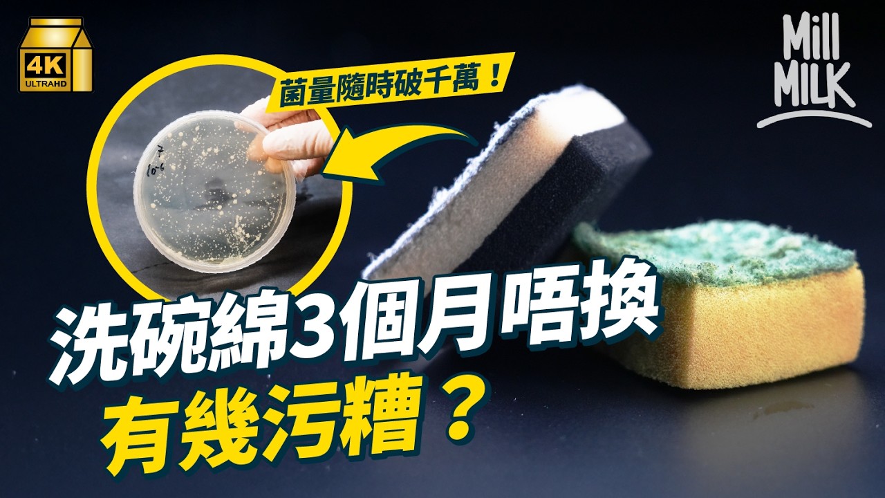 #MM｜洗碗綿幾耐要換一次？實測用7日 試勻坊間常用5款洗碗工具 含菌量仲多過廁所板？PolyU食品安全教授親授 延長洗碗綿壽命5個簡單步驟！｜#Weekly_pedia #4K
