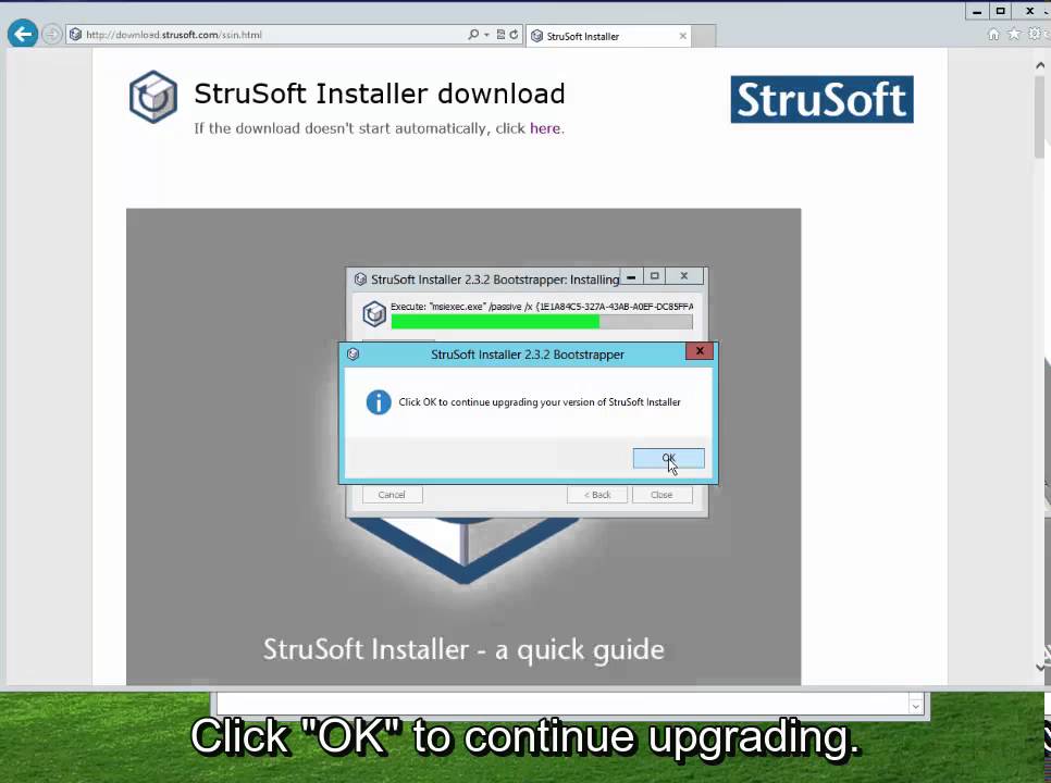 Update StruSoft Installer