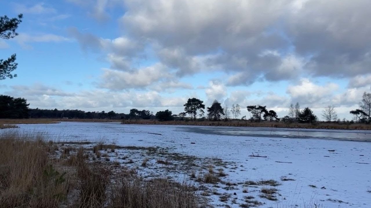 Silent Winter Nature Walk by a Frozen Fen ~No Talking, No Music