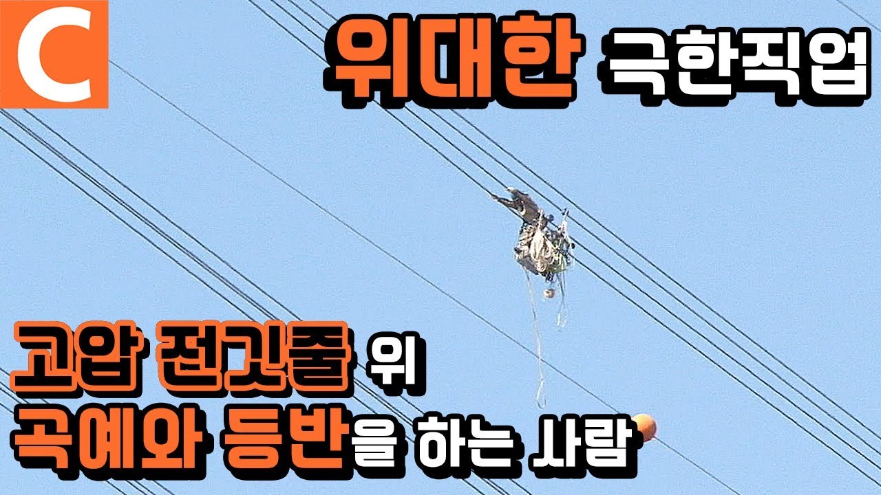 [극한직업 레전드] '떨어진 자는 말이 없다' 시청자가 뽑은 극한직업 1위 ‘송전탑 전기원’ㅣ#극한직업
