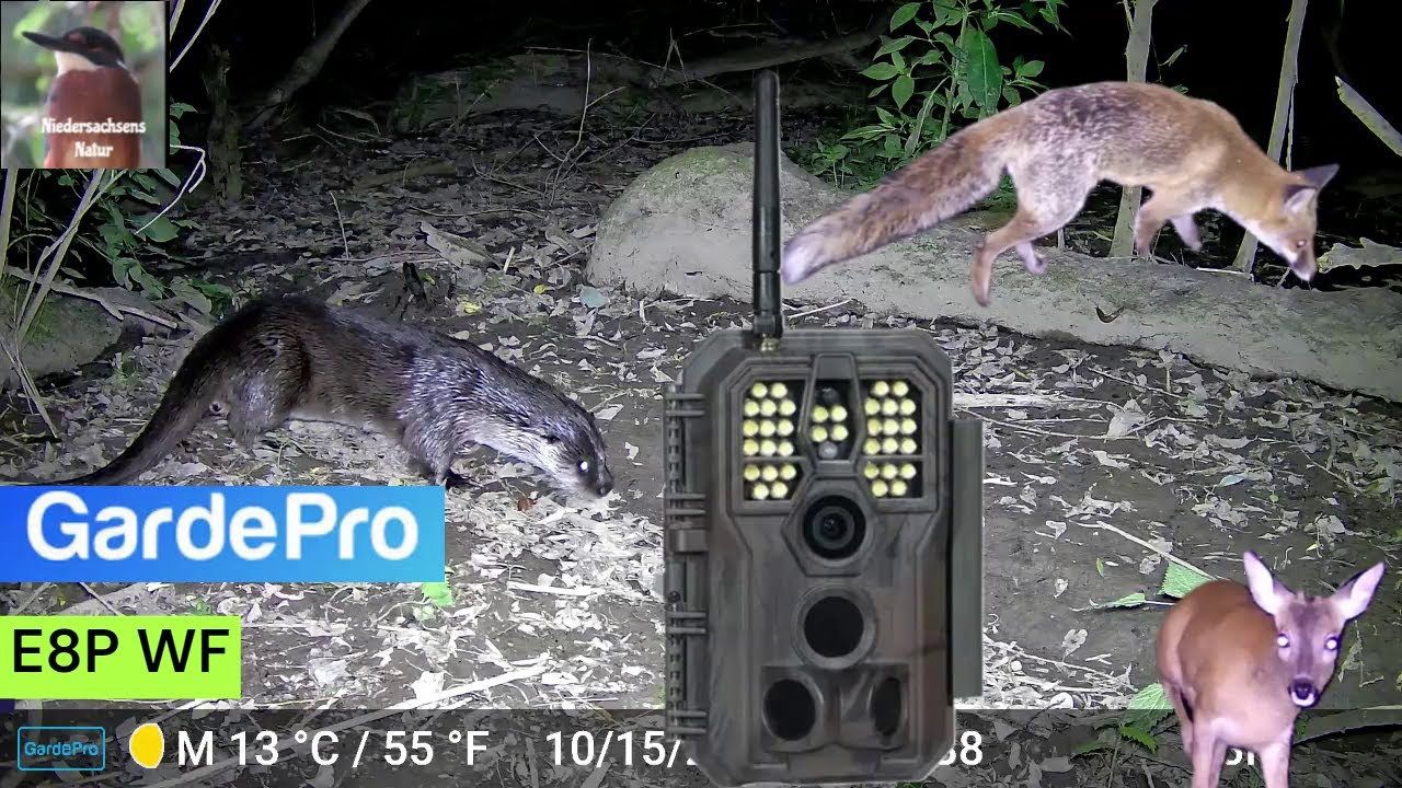 Nachtaufnahmen in Farbe!? - GardePro WIFI-Wildkamera im Test