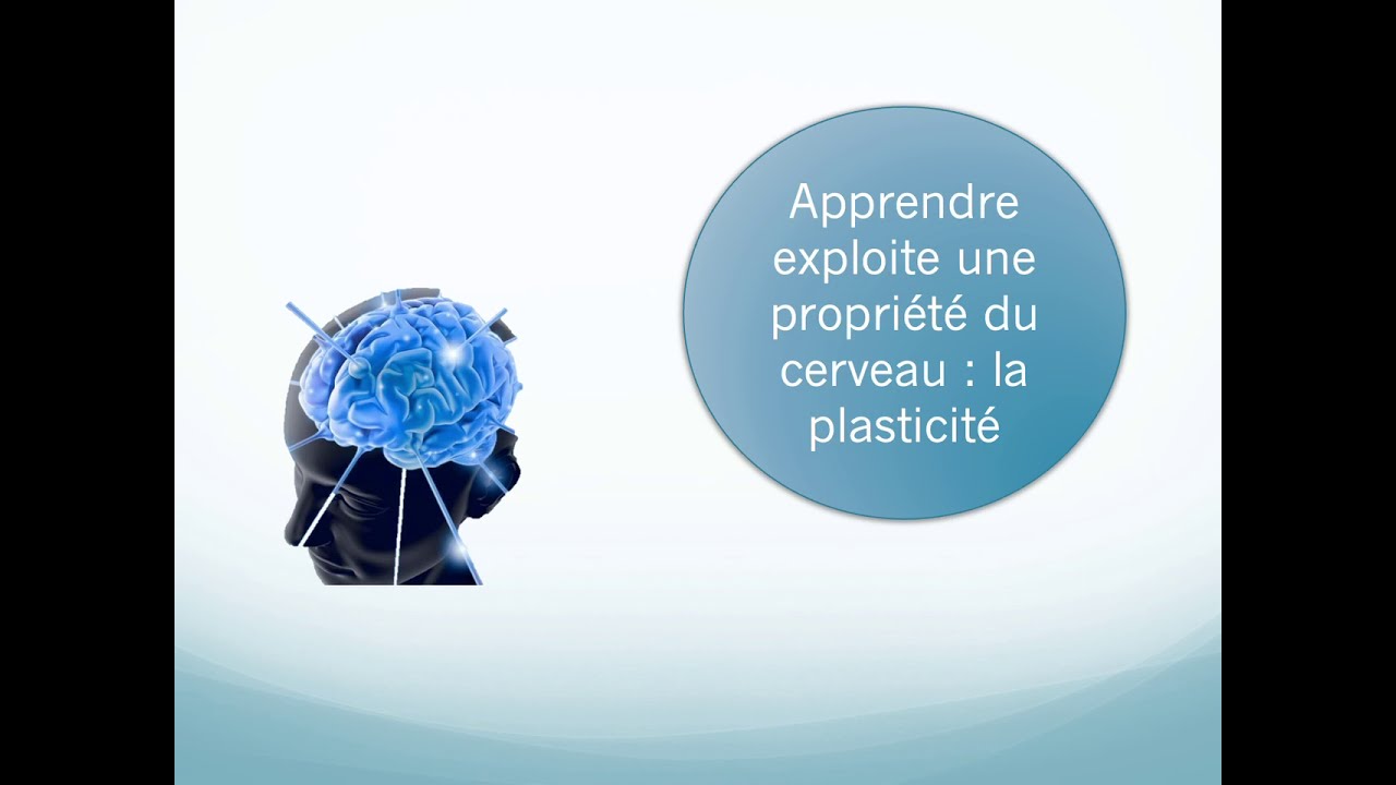MOOC enseignants 2021 : apprentissage et neurosciences