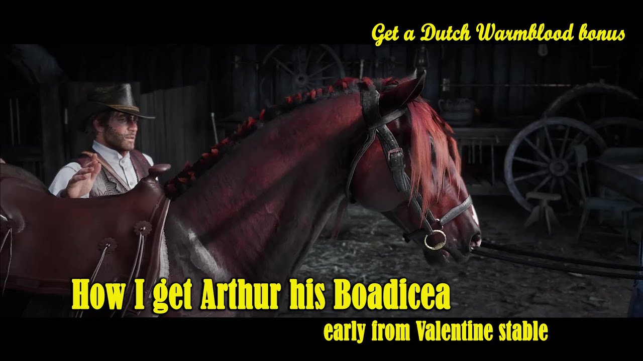 How I get Boadicea for Arthur from Valentine + Dutch Warmblood bonus - Red Dead Redemption 2.