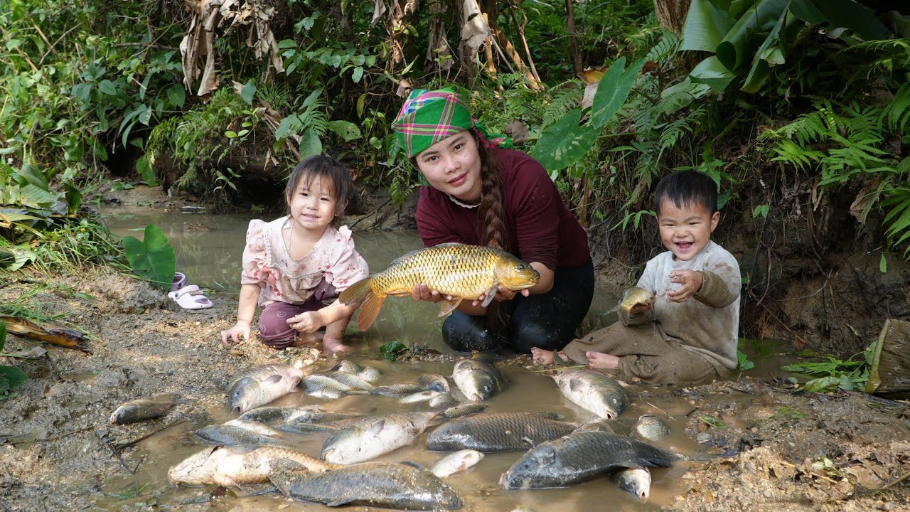 How to catch and harvest giant carp for sale - Grilling and eating the fish with my little daughter