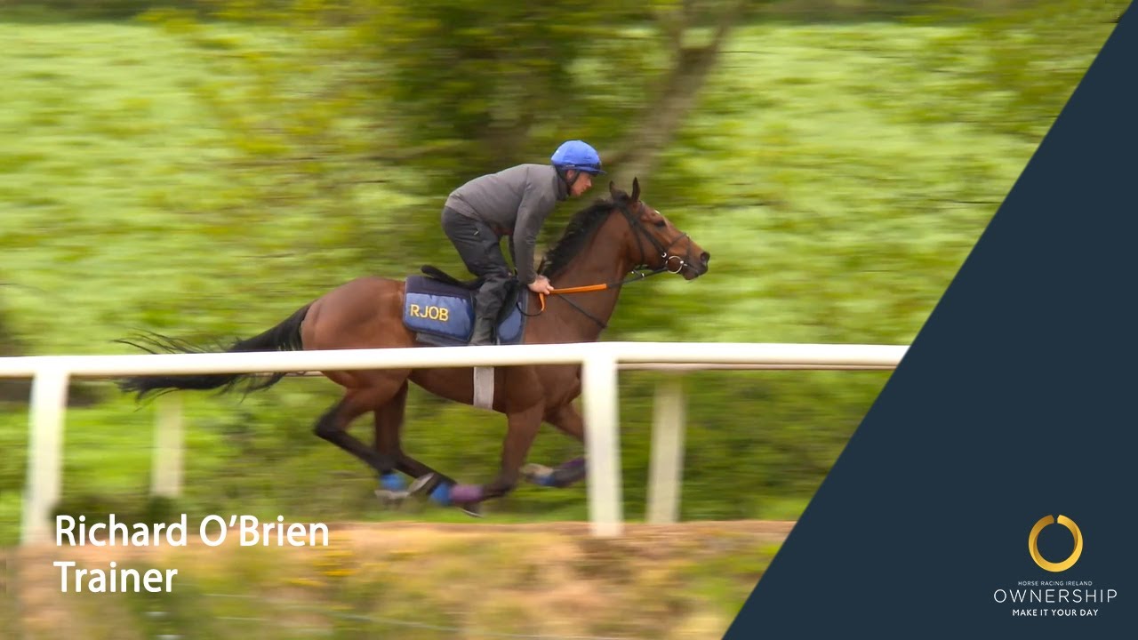 Richard O'Brien, Trainer