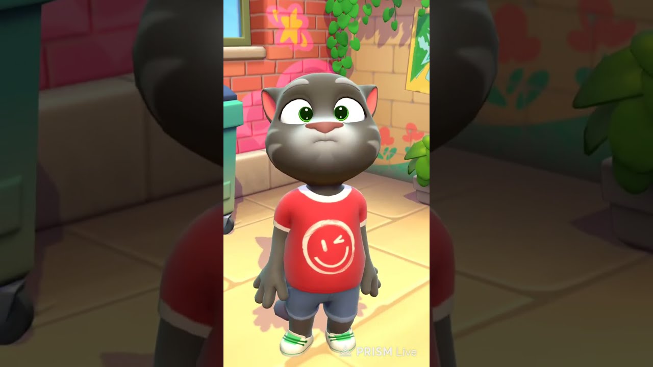 My Angela talking toomm #talkingtomcat #cat #live #shortfeeld #liveshorts #short