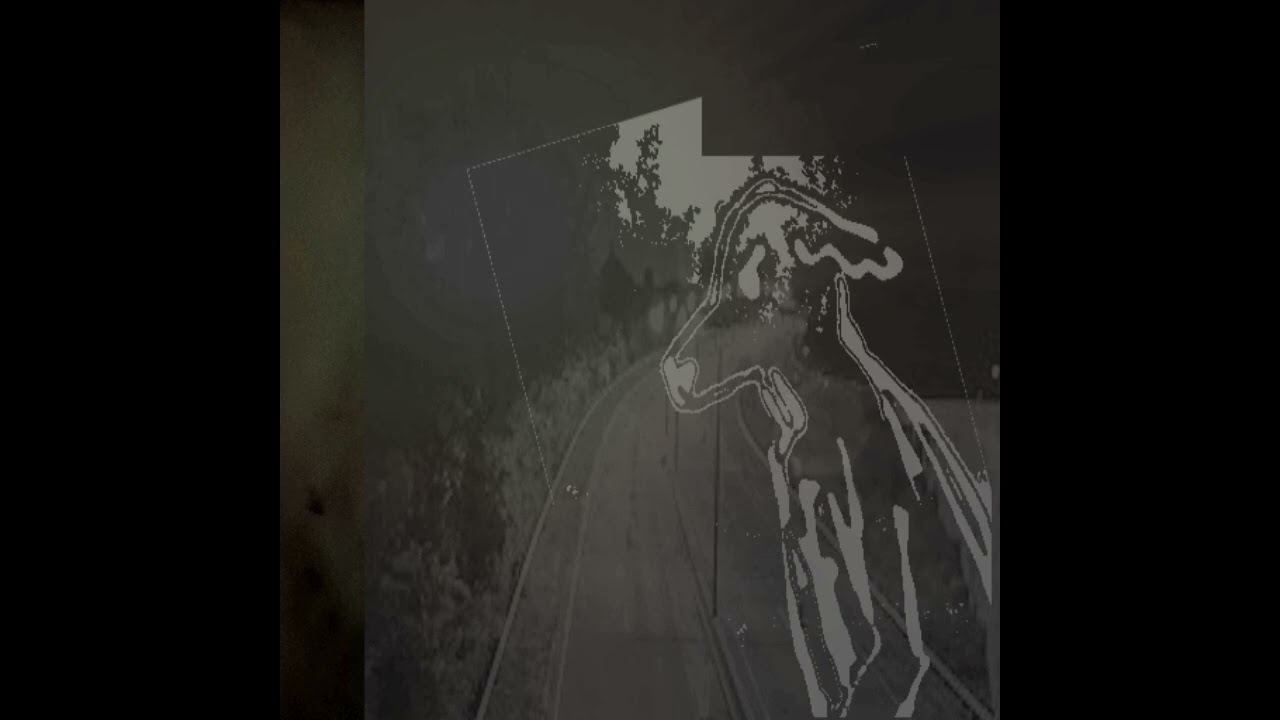 riverwatch - AODIWEV!