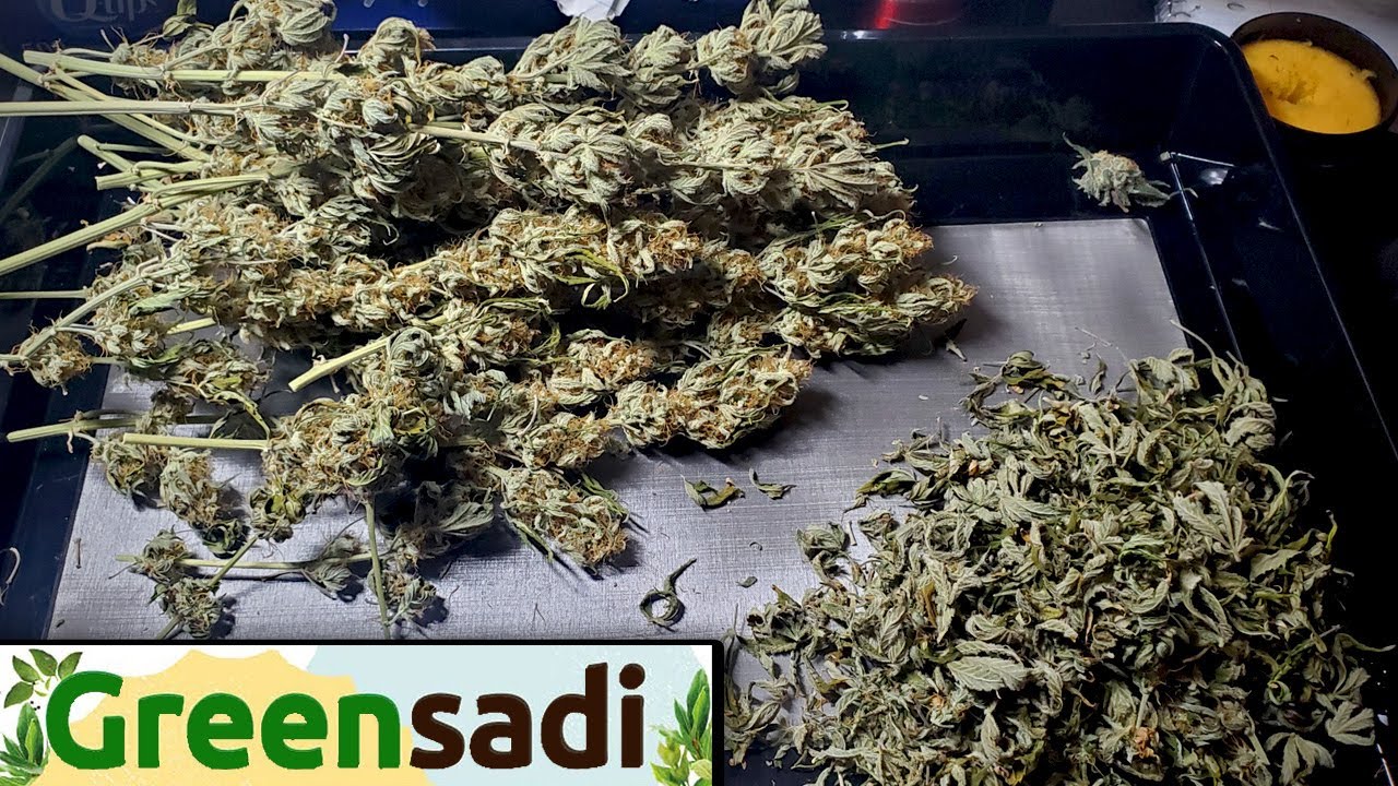 Greensadi Trim Tray Unboxing & Product Review