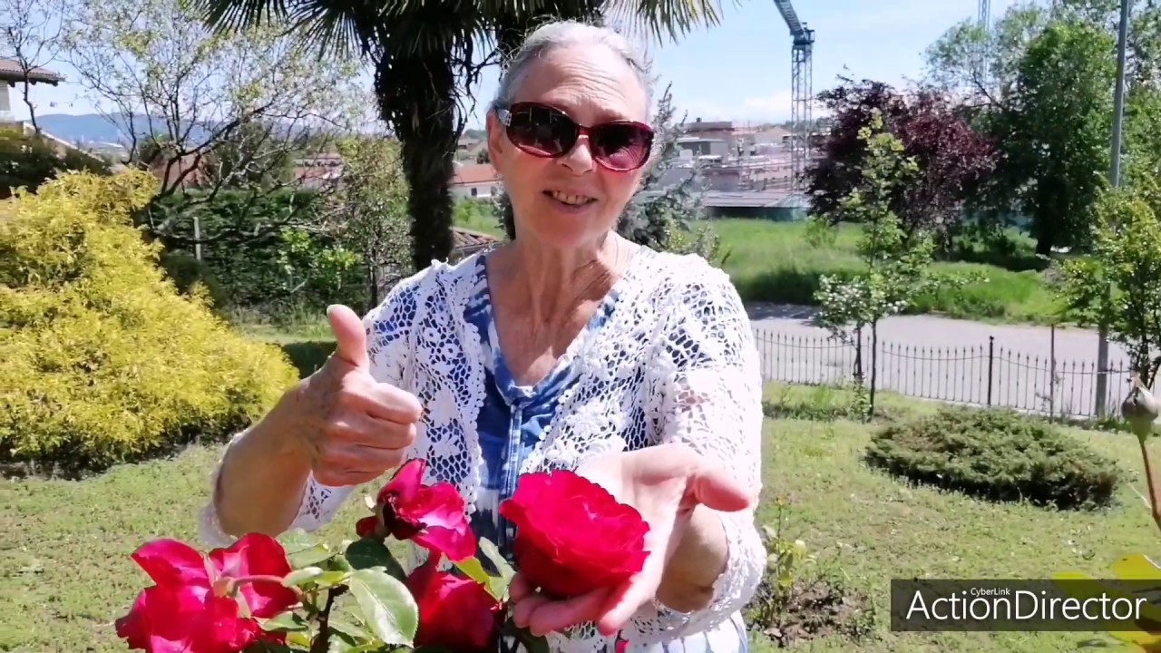 🌺🌺Flores na Italia - conheça o Jardim da Terê!🌷🌷