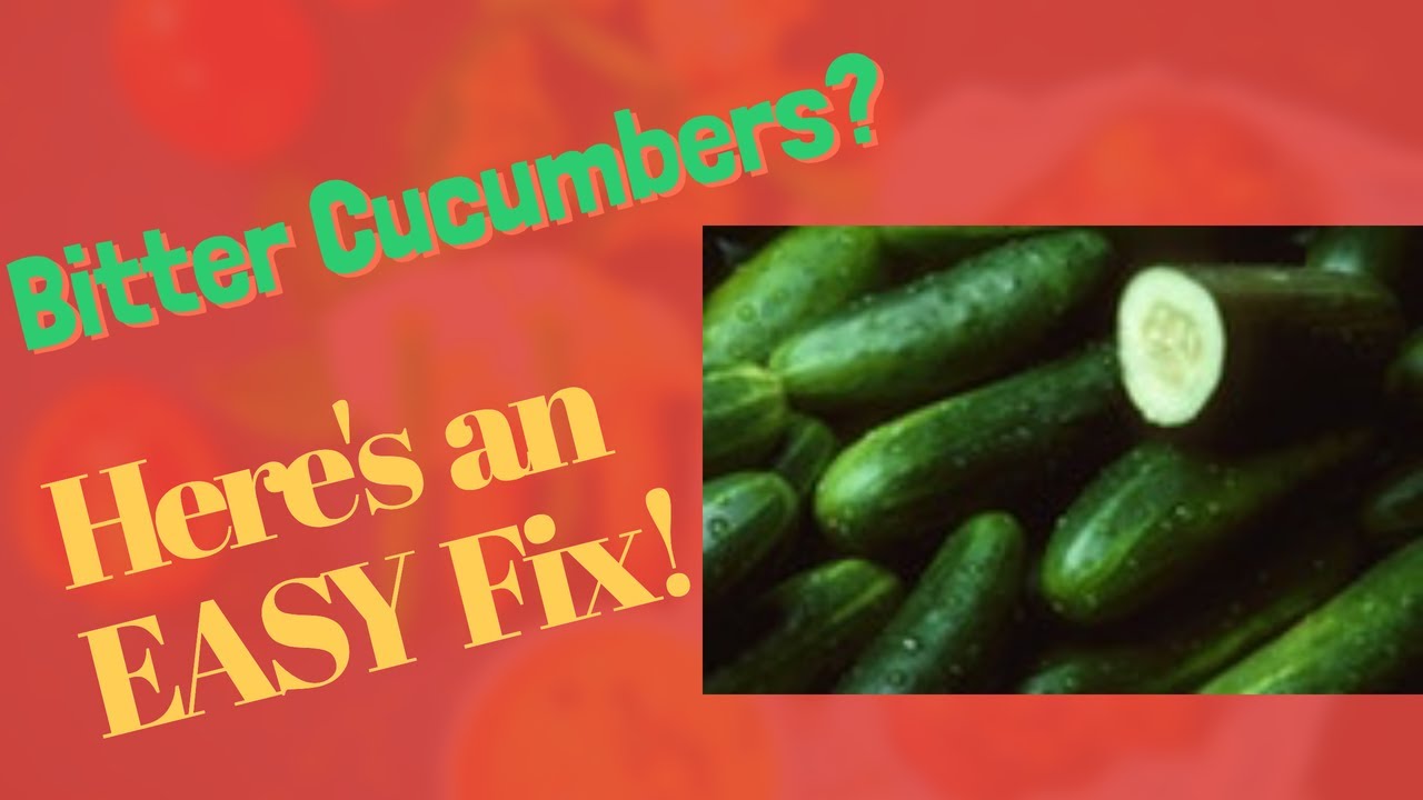 Easy fix for Bitter Cucumbers. Simple and fast! Bon Appetite!