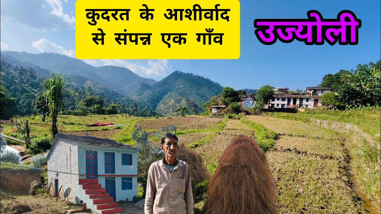 प्रकृति के आशीर्वाद से संपन्न गाँव-उज्योली#uttarakhandsanskriti #pahadi #uttrakhandculture #nature