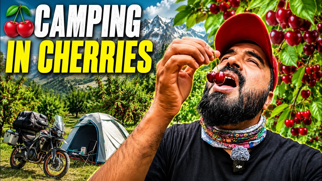 I Camped in a Cherry Garden in Hunza Valley 🍒 | Cherry Harvest, Momos & Karakoram Highway | Story 65