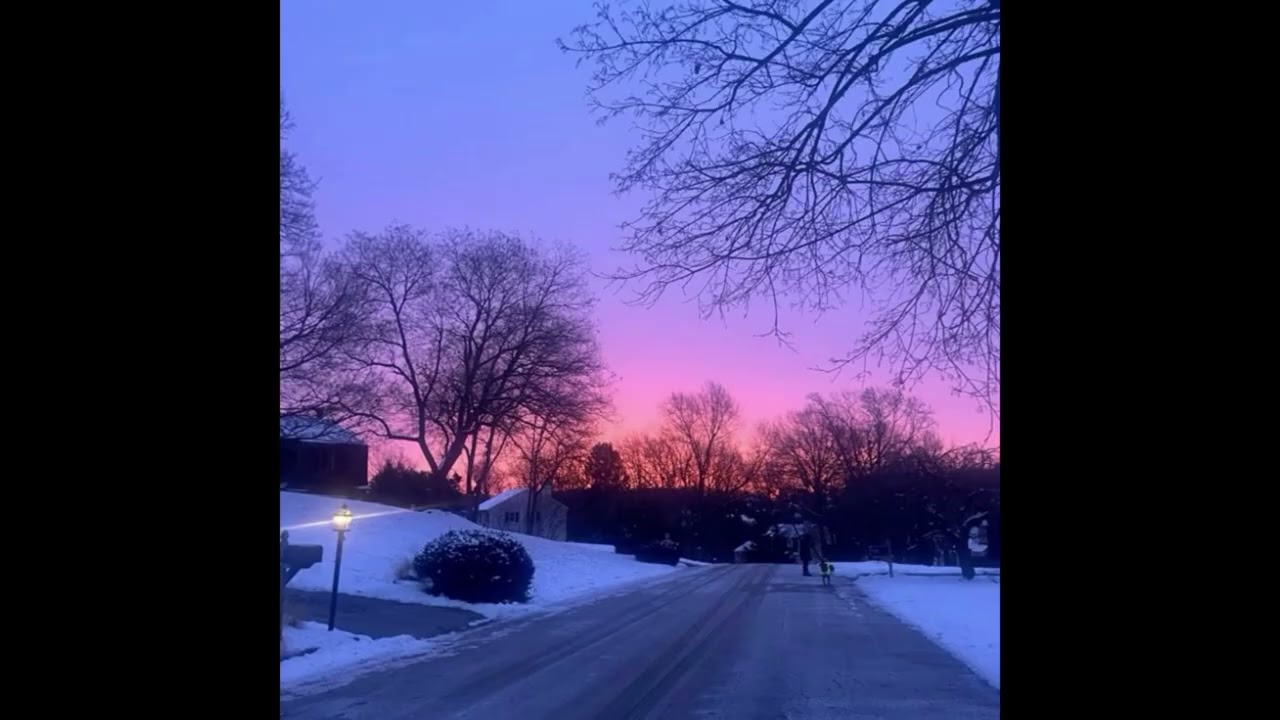 [FREE] skele x midwest emo x sewerperson 