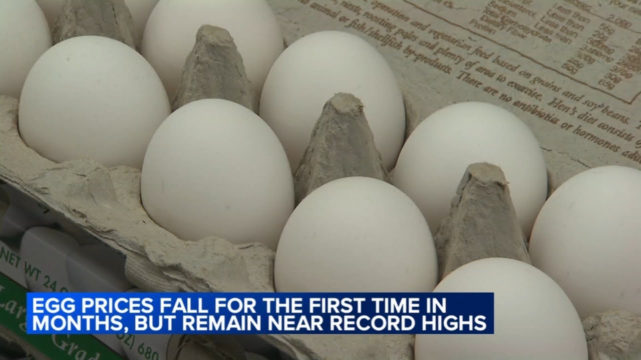 US egg prices fall for the first time in months