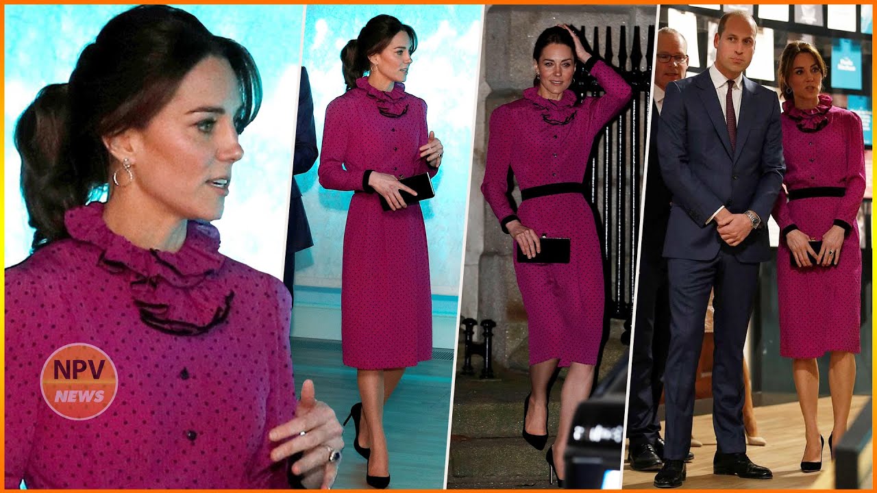 Kate Middleton stuns in pink and black gown by designer Oscar de la Renta reception in Dublin