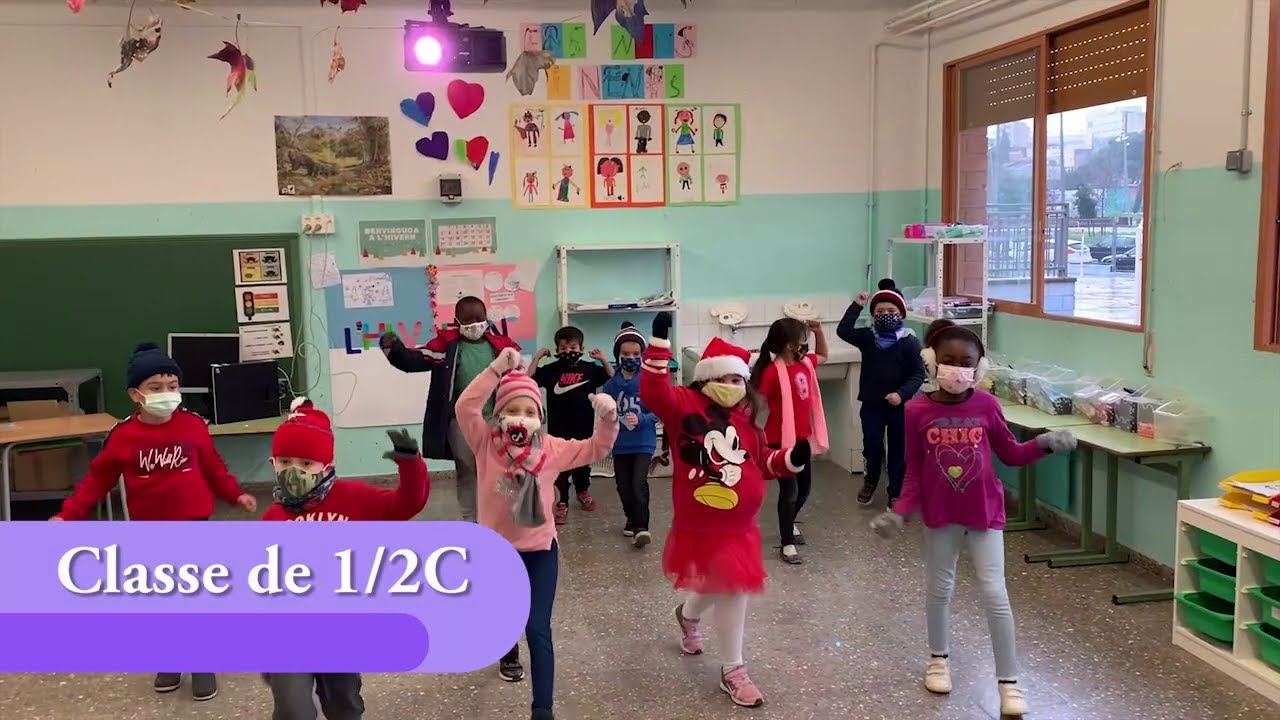 FlashMob 1/2 C - Curs 20/21
