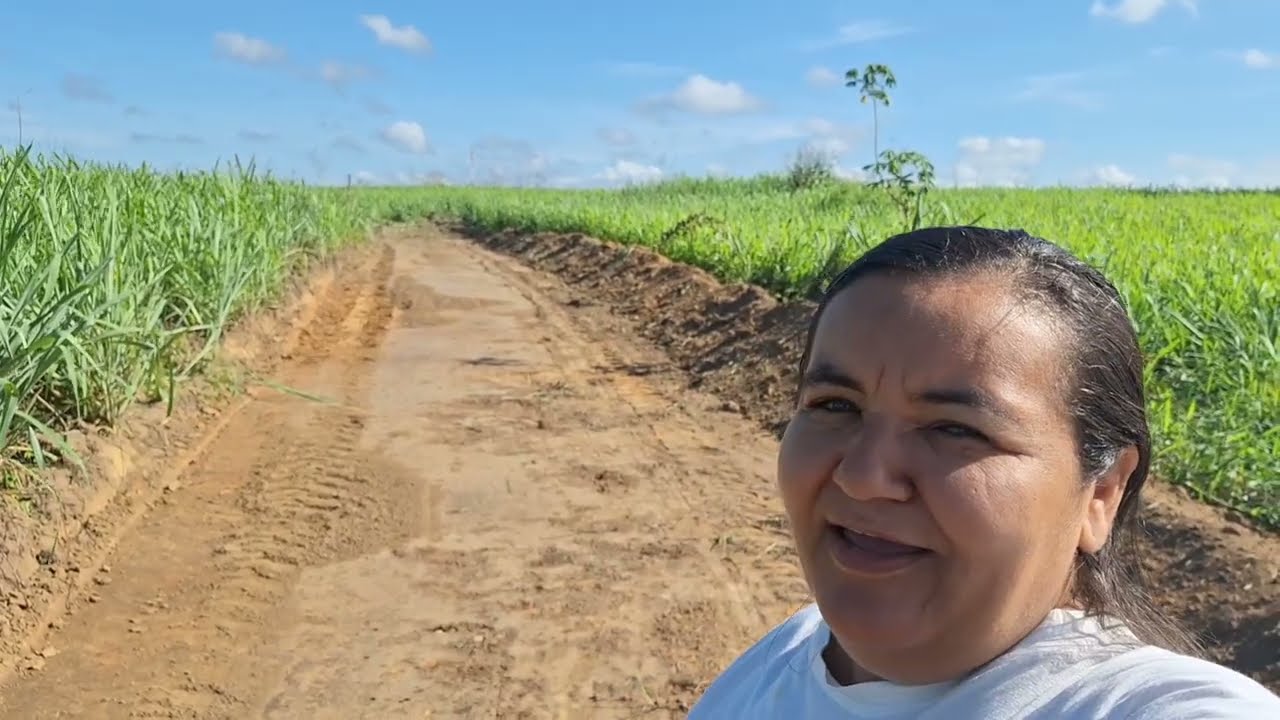 Mostrando os tamanhos e preços dos terrenos +nosso dia no sítio almoço e colheita com agrônomo 