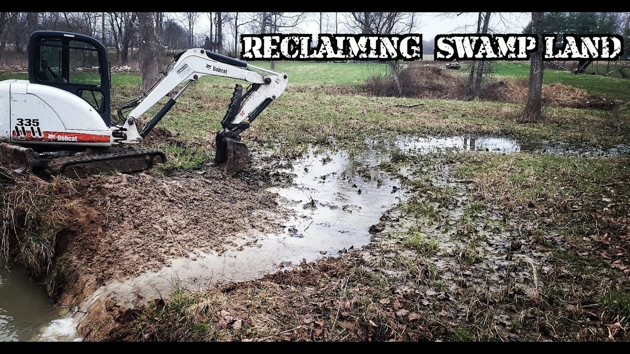 #26 Drain the swamp!