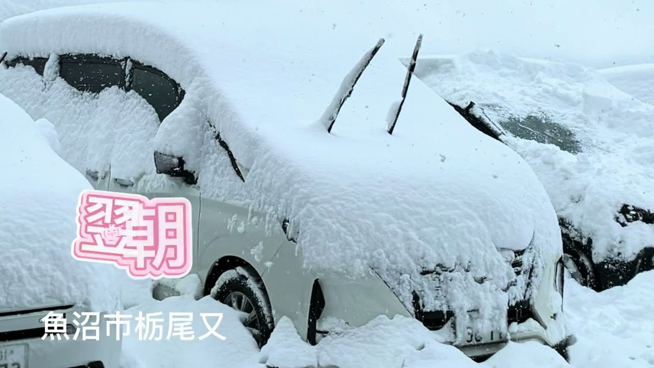 最長最強寒波へ冒険する旅路　魚沼