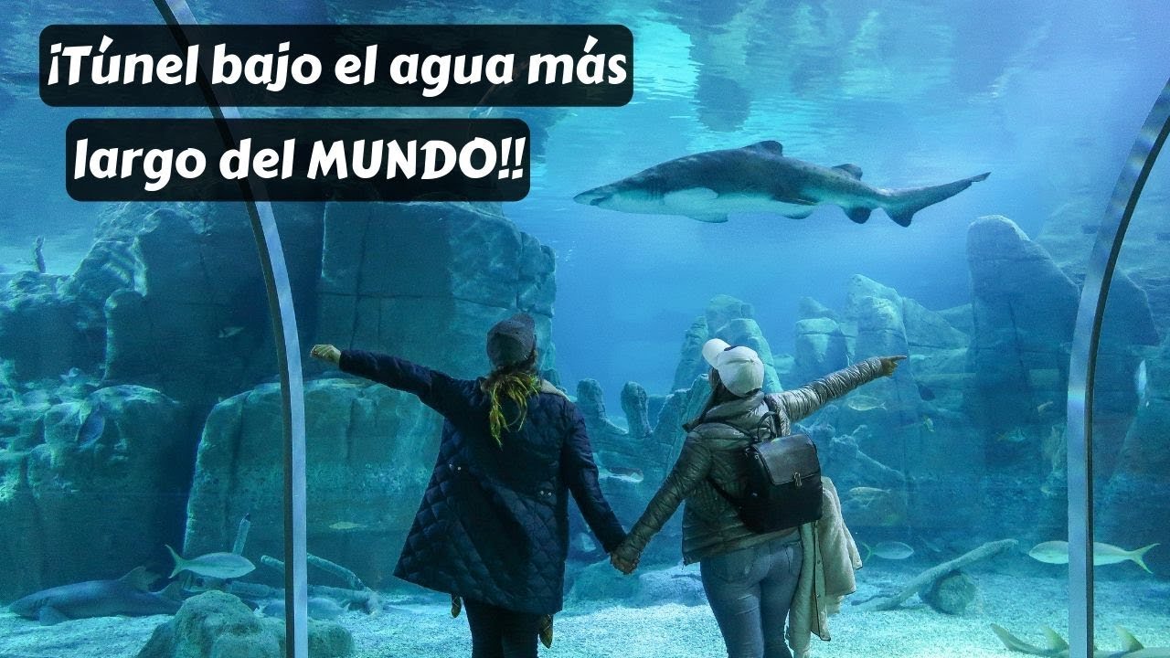 EL ACUARIO MÁS HERMOSO DE TURQUÍA | SeaLife, Estambul