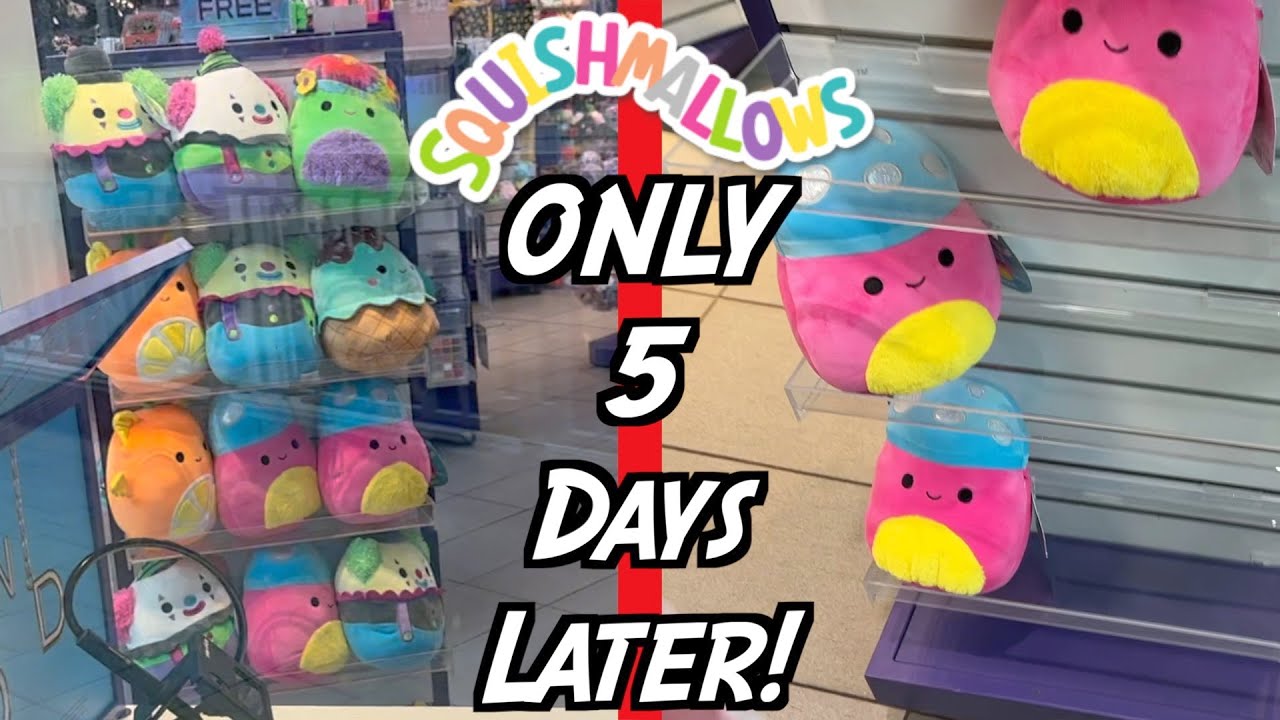GO SQUISHMALLOW HUNTING RIGHT NOW