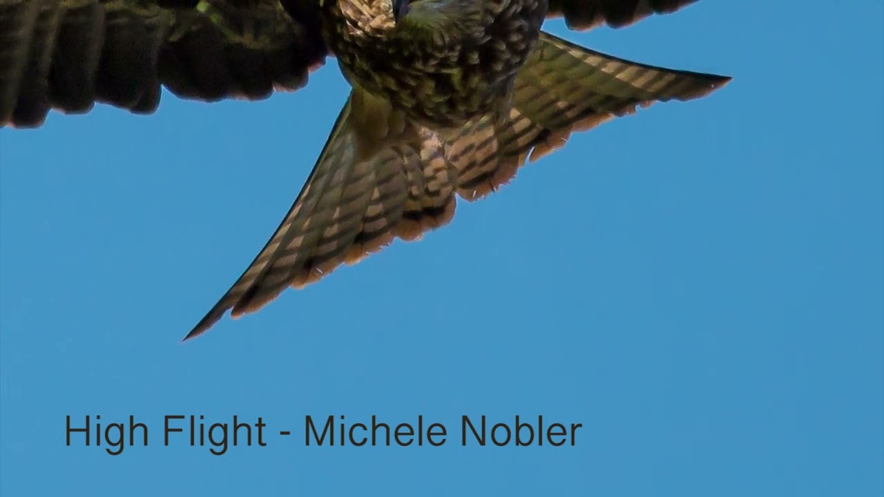 High Flight   Michele Nobler. Acoustic