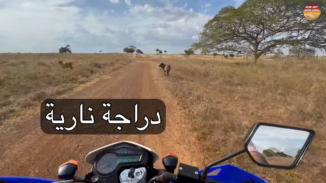 مزرعة عمر - فنزويلا 🇻🇪 167