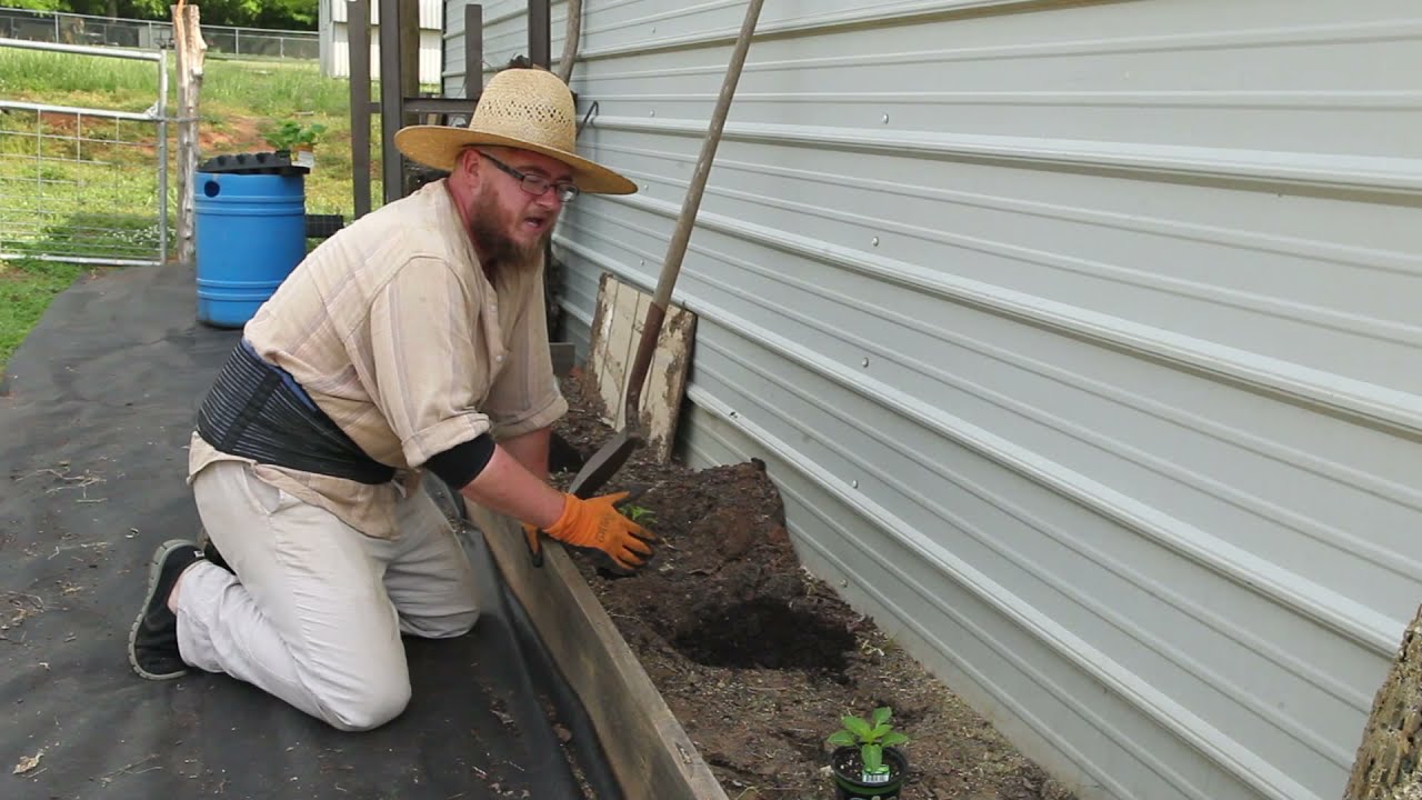 Coven In The Country Ep009 Walking the Garden Plank
