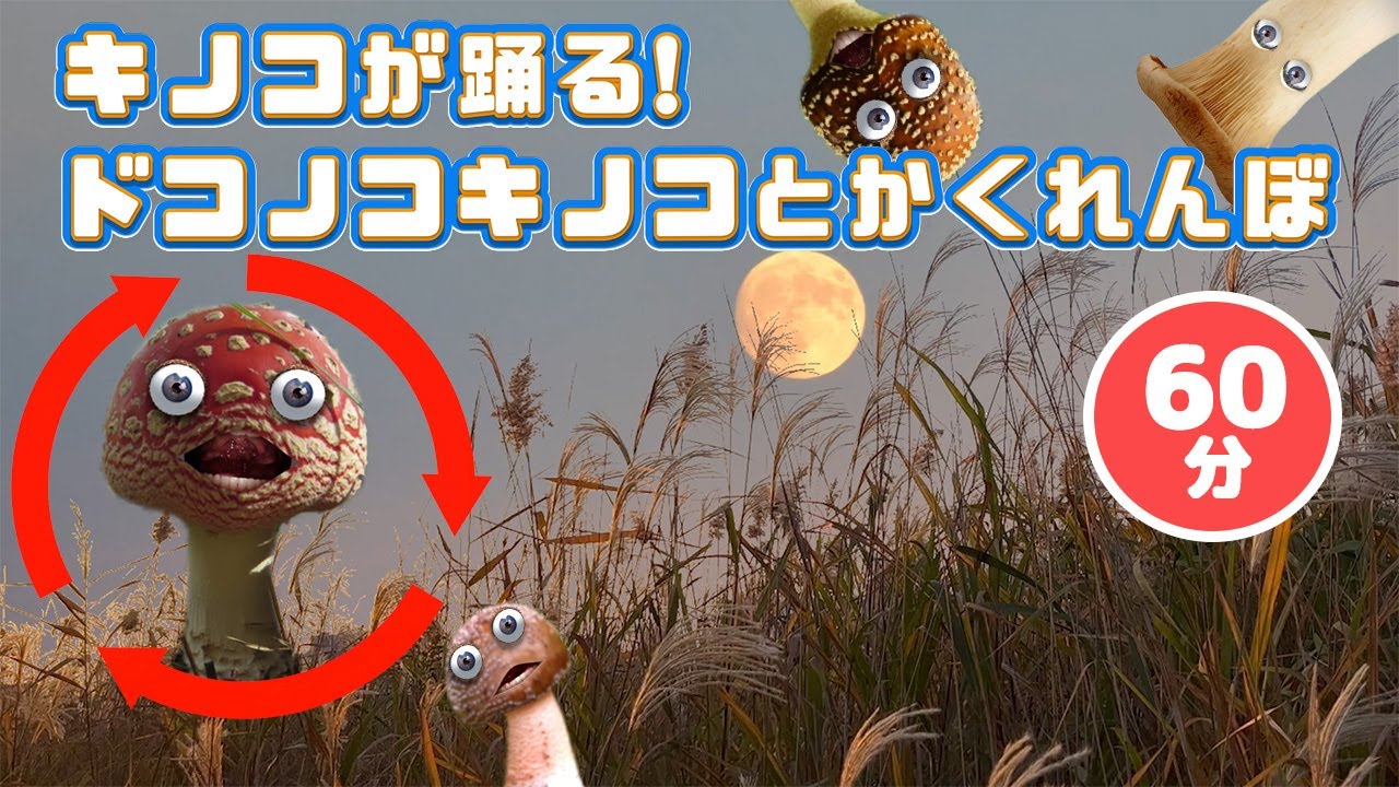 キノコが踊る!ドコノコノキノコと十五夜でかくれんぼ！【いないいないばあ・おかあさんといっしょ・子供の歌・赤ちゃん喜ぶ】