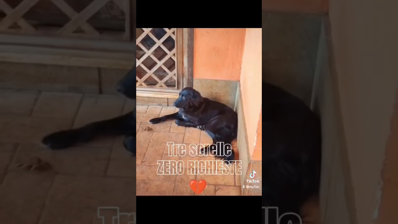 🆘🙏❤️ X Info 331-2782975